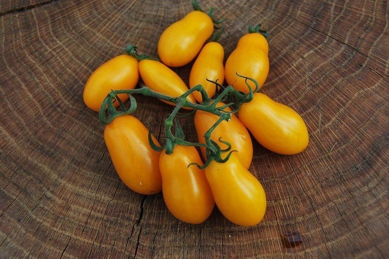 Черри желтый финик томат