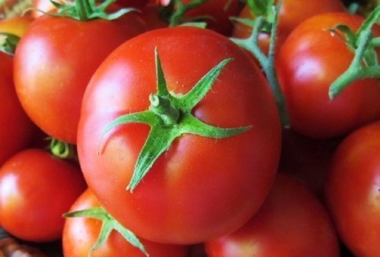 Monsanto гмо помидоры