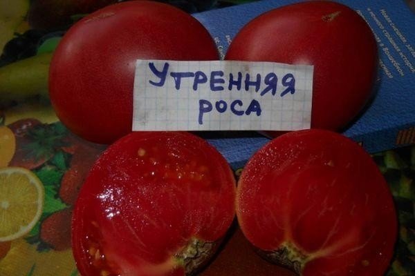 Сорт утренняя роса томат