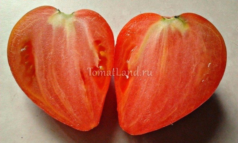 Томат бычье сердце розовое томат