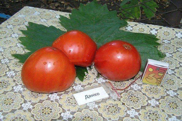 Индиана помидоры сорт