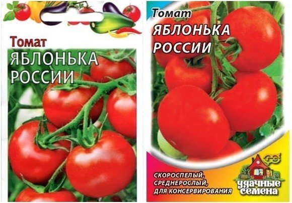 Гавриш томат яблонька россии