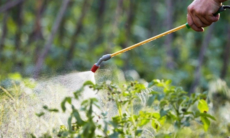 Опрыскиватель пестицидов сельскохозяйственные распыления