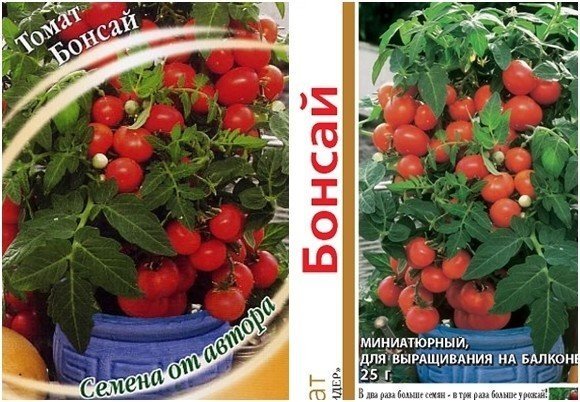 Семена томат бонсай балконный гавриш
