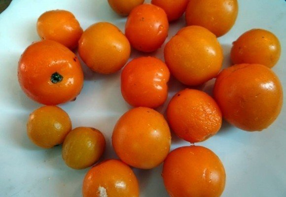 Оранжевые искусственные ягоды