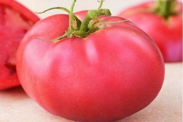 Сорт помидор супер клуша