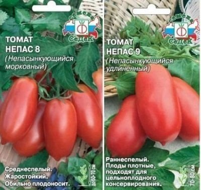 Сорта томатов непас